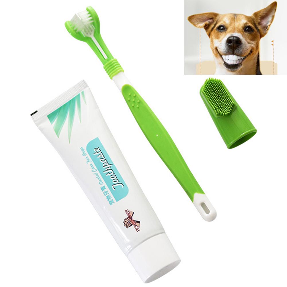 Pet Dog Puppy Cat Teeth Toothbrush Toothpaste Clean Soft Cleaning Set