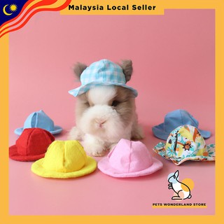 Rabbit Hat Accessories Cute Hedgehog Guinea Pig Fashion Comfort Photograph