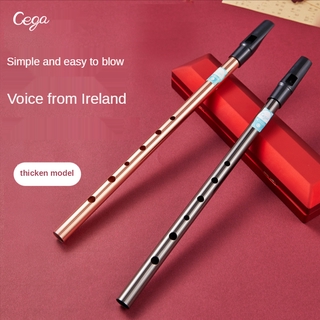 Irish Whistle Flute C/D Key Ireland Cega Flute Tin Pennywhistle Metal Dizi Feadan 3 Color Available Musical Instrument