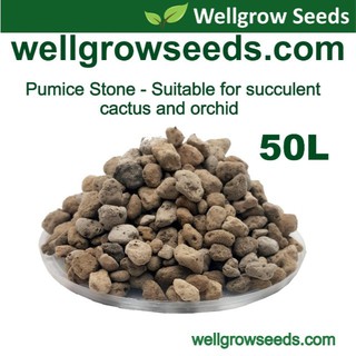 50L Pumice Coarse Normal (8-10mm) / Adenium soil / Cactus soil / Cactus Succulent Adenium Alocasia 轻石 浮石（粗）仙人掌 多肉 植物种植培养