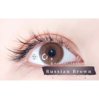 Russian Brown (small eyes effect) BEST SELLER!