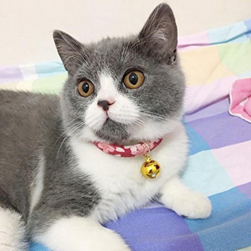 🔝 pet cat collar collar necklace hand-adjustable print tie pet cat accessories (1)