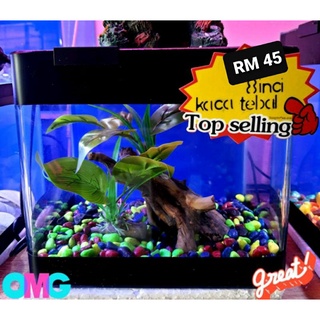 Aquarium with cover 8inch (READY STOK) 🤩 *Tinggi* Offer🔥