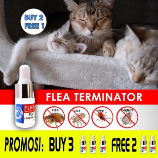 PA Flea Terminator ( Ready Stok ) spot on kill flea tick lice earmite kutu - Pet Haiwan Kitten Cat Anak Kucing Puppy Dog