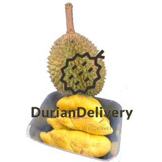 [PROMOTION] Fresh Musang King Durian Pulp (250-300gram)
