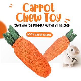 🍃Dental Health🍃 Dental Health Care Carrot Chew Stick Toy Molar Treats Rabbit Guinea Pigs Hamster Pet