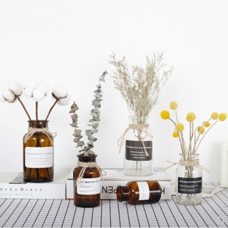 Creative Glass Vase Home Decor Decoration Transparent Dried Flower Hydroponic Brown Vase (1)