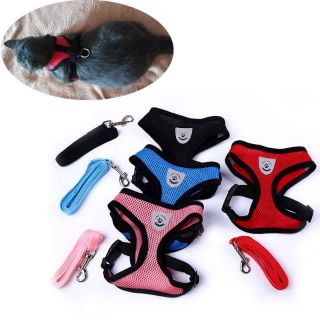 Msia Stock】Soft Breathable Air Nylon Mesh Cat Dog Pet Cat Harness And Leash Set tali leher kucing anjing