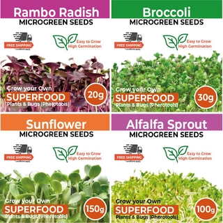 Microgreen Selection - Grow your own Superfood (High Germination Rates)