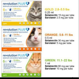 Revolution Plus Cat (3's) : Stock Ready