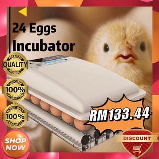 Egg Incubator / Incubator Automatic / Incubator Egg Automatic / Egg Incubator Malaysia / Eggs Incubator / FDJ
