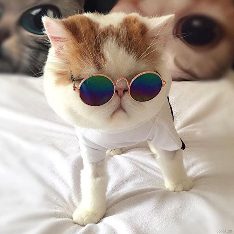 🔝 super cute pet glasses fashion dog cat cool sunglasses random color