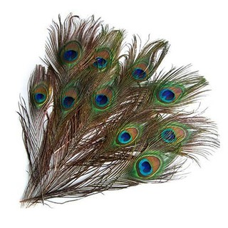 Gre 10 Pcs Cools DIY Peacock Eye Tail Feather for Masquerade Decoration Party