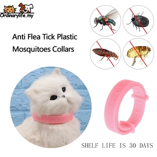 Adjustable Pet Cat Collar Anti Flea Tick Mite Repellent Pet Protection Neck Ring ★ KOLAR KUCING CEGAH KUTU, SEMUT & NYAMUK★