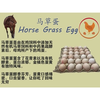 （PROMO）Buy 30*5 Free 10EGG Horse Grass Egg Macao Egg 10pcs 30pcs per tray 马草蛋