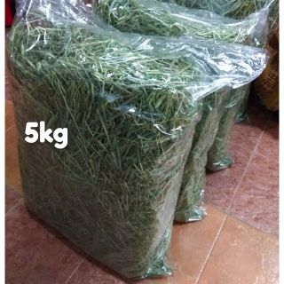 Timothy Hay 5kg for rabbit, cavy and chinchilla
