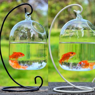 Hanging Mini Fish Tank With Bent Stable Stand Glass